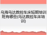 乌海乌达数控车床短期培训班有哪些(乌达数控车床培训)