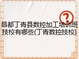昌都丁青县数控加工培训班技校有哪些(丁青数控技校)