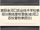 襄阳老河口农业技术学校单招分数线畜牧兽医(老河口农校畜牧单招分)