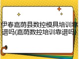伊春嘉荫县数控模具培训靠谱吗(嘉荫数控培训靠谱吗)
