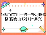 铜陵铜官山一对一补习班价格(铜官山1对1补课价)