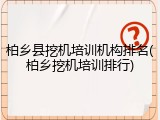 柏乡县挖机培训机构排名(柏乡挖机培训排行)
