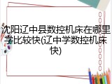 沈阳辽中县数控机床在哪里学比较快(辽中学数控机床快)