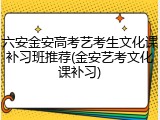 六安金安高考艺考生文化课补习班推荐(金安艺考文化课补习)