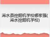 浠水县挖掘机学校哪家强(浠水挖掘机学校)