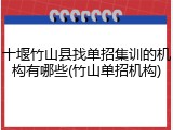 十堰竹山县找单招集训的机构有哪些(竹山单招机构)