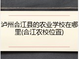 泸州合江县的农业学校在哪里(合江农校位置)