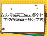 安庆桐城高三生去哪个补习学校(桐城高三补习学校)