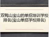 双鸭山宝山的单招培训学校排名(宝山单招学校排名)