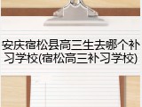 安庆宿松县高三生去哪个补习学校(宿松高三补习学校)