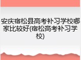 安庆宿松县高考补习学校哪家比较好(宿松高考补习学校)