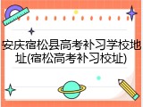 安庆宿松县高考补习学校地址(宿松高考补习校址)