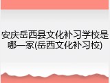 安庆岳西县文化补习学校是哪一家(岳西文化补习校)