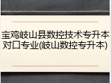 宝鸡岐山县数控技术专升本对口专业(岐山数控专升本)