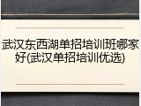 武汉东西湖单招培训班哪家好(武汉单招培训优选)