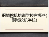 钢城挖机培训学校有哪些(钢城挖机学校)