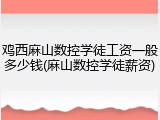 鸡西麻山数控学徒工资一般多少钱(麻山数控学徒薪资)