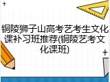 铜陵狮子山高考艺考生文化课补习班推荐(铜陵艺考文化课班)