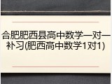 合肥肥西县高中数学一对一补习(肥西高中数学1对1)