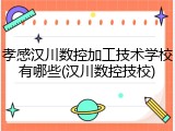 孝感汉川数控加工技术学校有哪些(汉川数控技校)