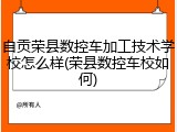 自贡荣县数控车加工技术学校怎么样(荣县数控车校如何)