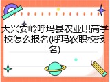 大兴安岭呼玛县农业职高学校怎么报名(呼玛农职校报名)