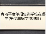 青岛平度单招集训学校在哪里(平度单招学校地址)