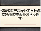 铜陵铜陵县高考补习学校哪家好(铜陵高考补习学校推荐)