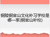 铜陵铜官山文化补习学校是哪一家(铜官山补校)
