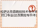 拉萨达孜县数控技术专升本对口专业(达孜数控专升本)