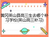 黄冈英山县高三生去哪个补习学校(英山高三补习)