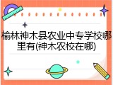 榆林神木县农业中专学校哪里有(神木农校在哪)