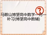 马鞍山博望高中数学一对一补习(博望高中数辅)