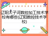辽阳太子河数控加工技术学校有哪些(辽阳数控技术学校)