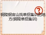 铜陵铜官山找单招集训的地方(铜陵单招集训)
