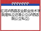红河泸西县农业职业技术学院是私立还是公立(泸西农院公立私立)