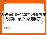 大理巍山好的单招培训哪里有(巍山单招培训推荐)