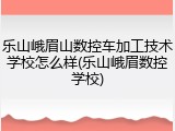 乐山峨眉山数控车加工技术学校怎么样(乐山峨眉数控学校)