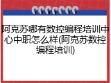 阿克苏哪有数控编程培训中心中职怎么样(阿克苏数控编程培训)