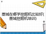 藁城在哪学挖掘机比较好(藁城挖掘机培训)