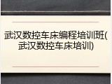 武汉数控车床编程培训班(武汉数控车床培训)