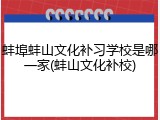 蚌埠蚌山文化补习学校是哪一家(蚌山文化补校)