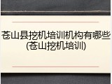 苍山县挖机培训机构有哪些(苍山挖机培训)