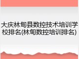 大庆林甸县数控技术培训学校排名(林甸数控培训排名)