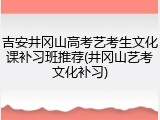 吉安井冈山高考艺考生文化课补习班推荐(井冈山艺考文化补习)