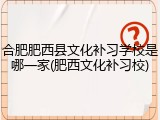 合肥肥西县文化补习学校是哪一家(肥西文化补习校)