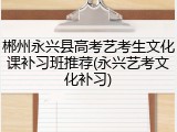 郴州永兴县高考艺考生文化课补习班推荐(永兴艺考文化补习)