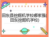 田东县挖掘机学校哪家强(田东挖掘机学校)