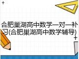 合肥巢湖高中数学一对一补习(合肥巢湖高中数学辅导)