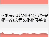丽水庆元县文化补习学校是哪一家(庆元文化补习学校)